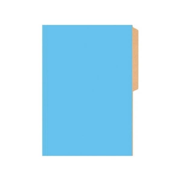 CARPETA PIGMENTADA CELESTE BUHO1