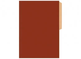 CARPETA CARTULINA PIG.BRILLANTE BURDEO BUHO1