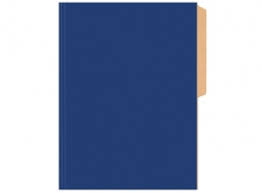 CARPETA CARTULINA PIG.BRILLANTE AZUL CLARO BUHO1