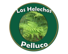 Los Helechos Logo