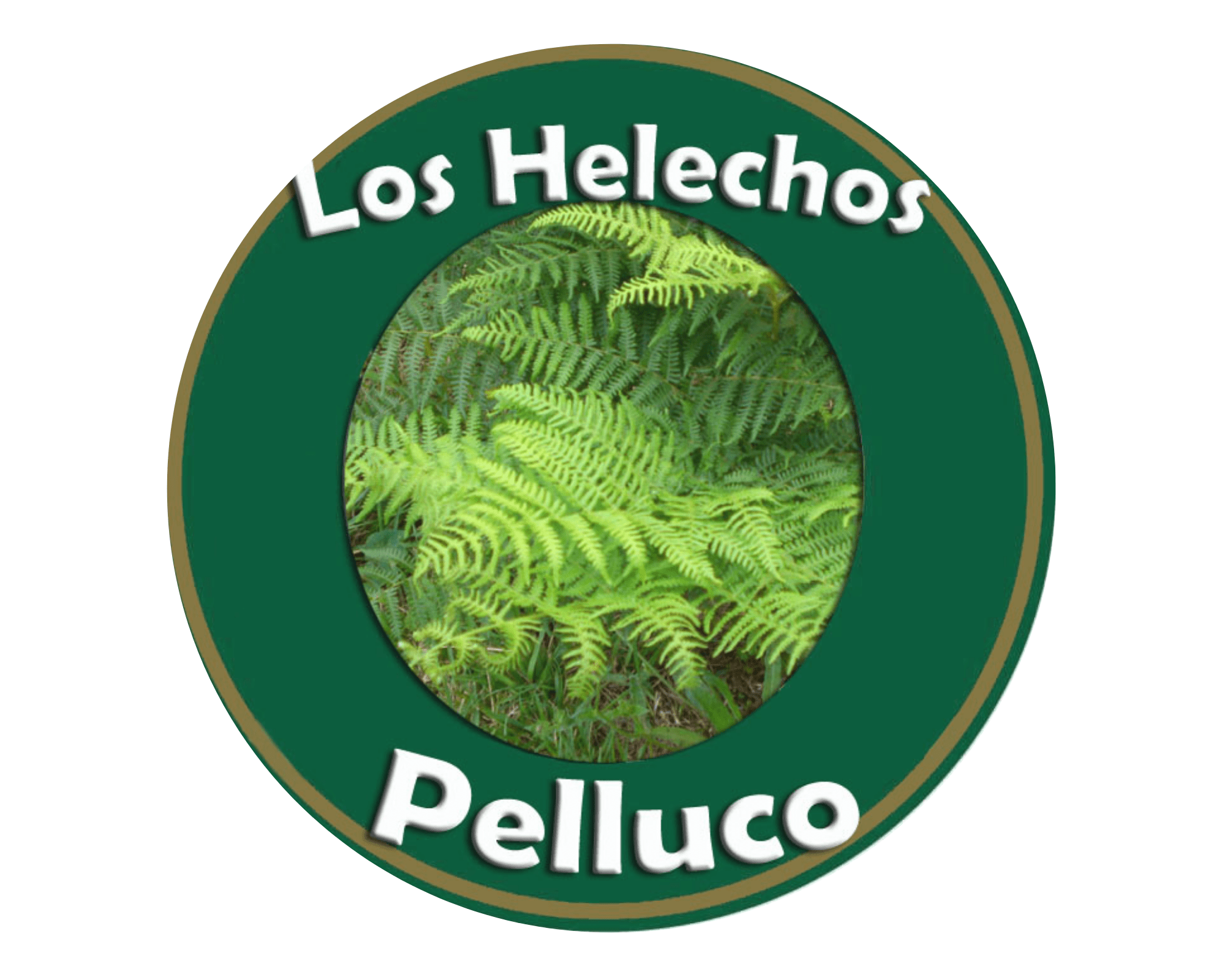 Los Helechos