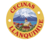 CECINAS LLANQUIHUE