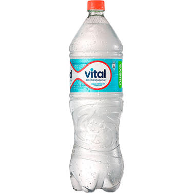 AGUA VITAL SIN GAS 1.6LT1