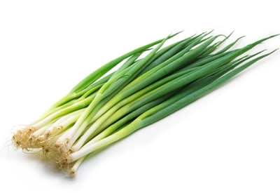 CEBOLLIN1