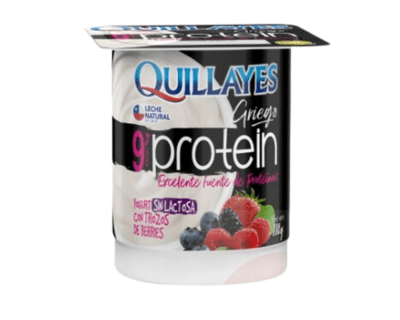 YOGURT GRIEGO PROTEIN BERRIES QUILLAYES 110GR.1