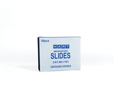 PORTAOBJETO HART BORDE ESMERILADO1