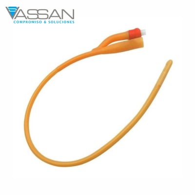 SONDA FOLEY WELL LEAD