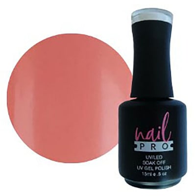 018 NAIL PRO