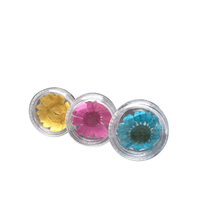 PACK FLORES SECAS x 3