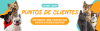 banner29953