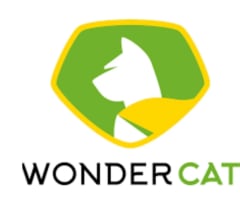 Wonder Cat