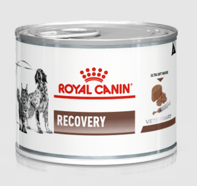 ROYAL CANIN RECOVERY1