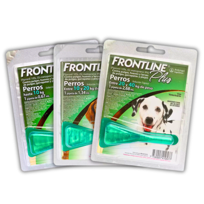 FRONTLINE DOG1