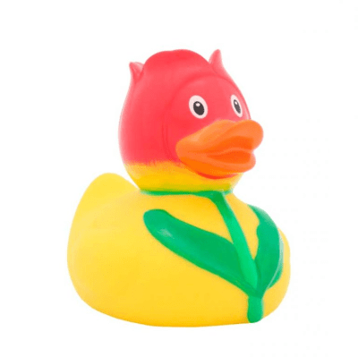 Tulipan Duck1
