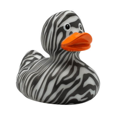 Like a Zebra Duck