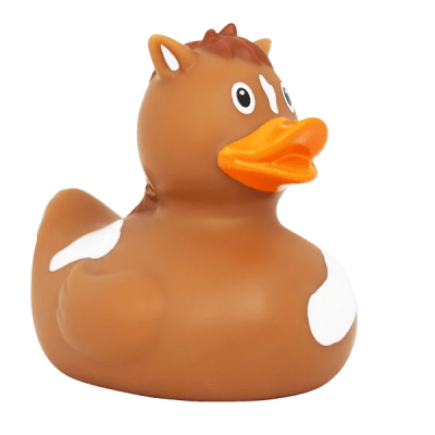 Pony Duck