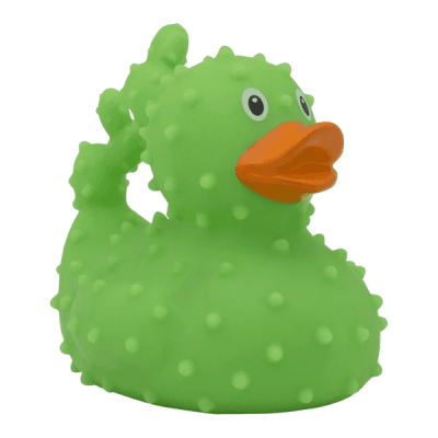 Cactus Duck