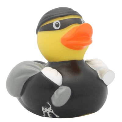 Thief Duck