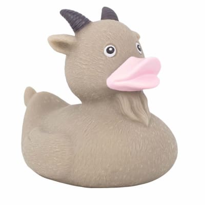 Goat Duck