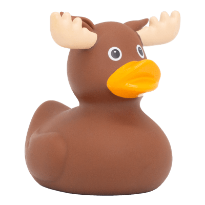 Moose Duck