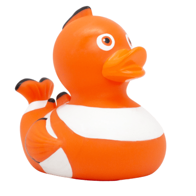 Clown Fish Duck