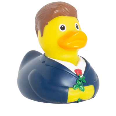 The Bachelor Duck