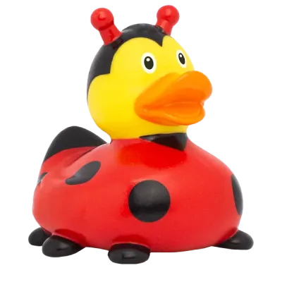Lady Bug Duck