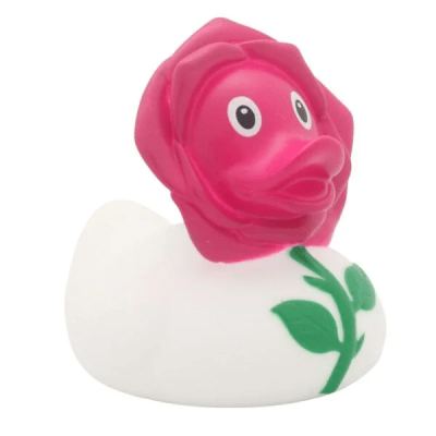 Rosa Duck