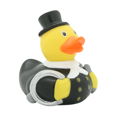 White Chimney Sweep Duck