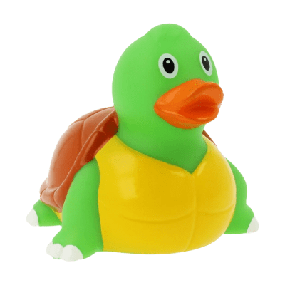 Turtle Duck