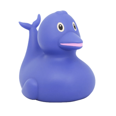 Dolphin Duck