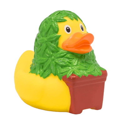 Cannabis Duck