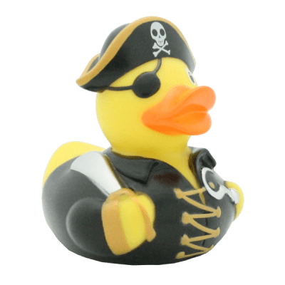 Pirate Duck