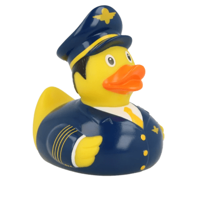 Pilot Duck12