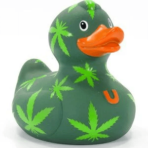 Luxury Hemp Duck