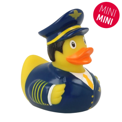 Mini Pilot Duck12