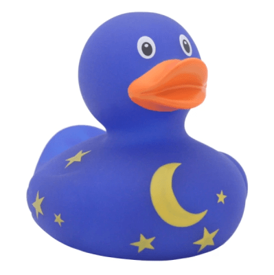Duck With Moon and Stars