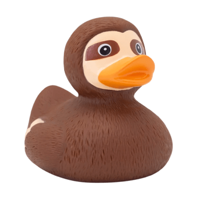 Sloth Duck6