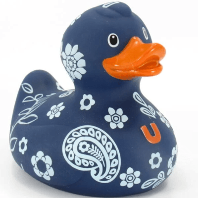 Luxury Hipster Duck