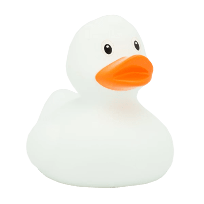 White Duck