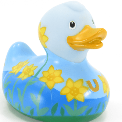 Luxury Daffodil Duck