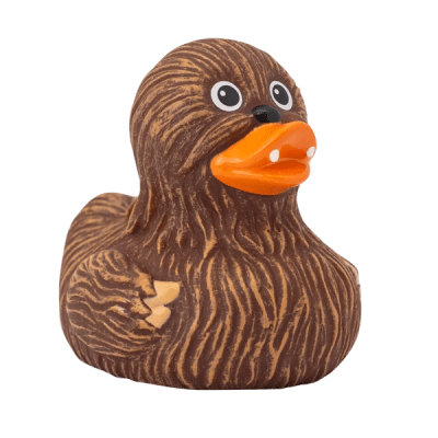 Whooping Duck