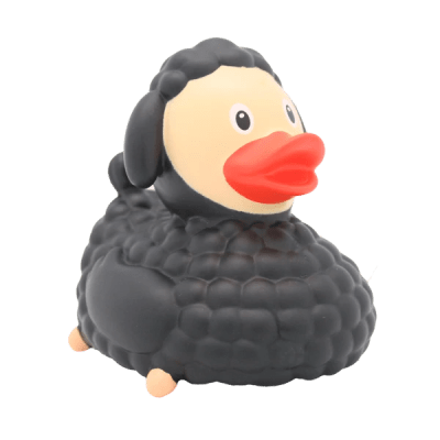 Black Sheep Duck