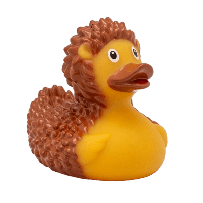 Hedgehog Duck