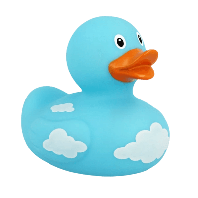 Duck With Clouds