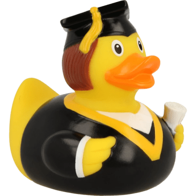 Bachelor Duck