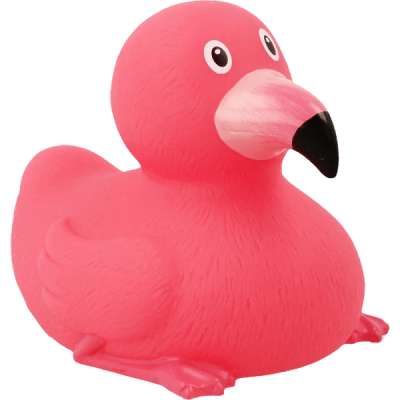 Flamingo Duck