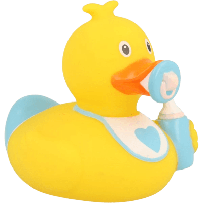 Baby Boy Duck