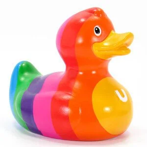 Luxury Rainbow Duck