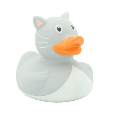 Cat Duck, Grey